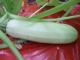 Top 10 Recipes That Use White Zucchini